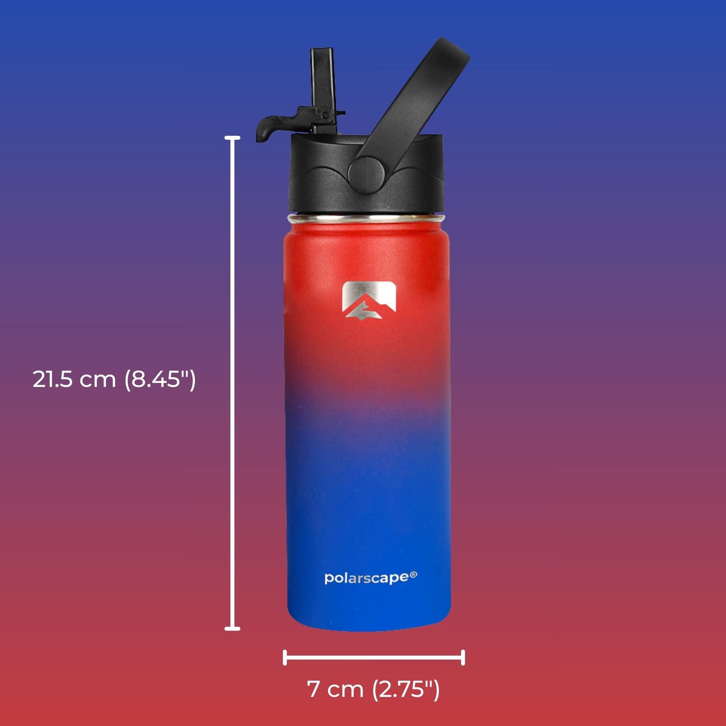 Insulated Water Bottle With Straw Wide Mouth 500 ml Plum