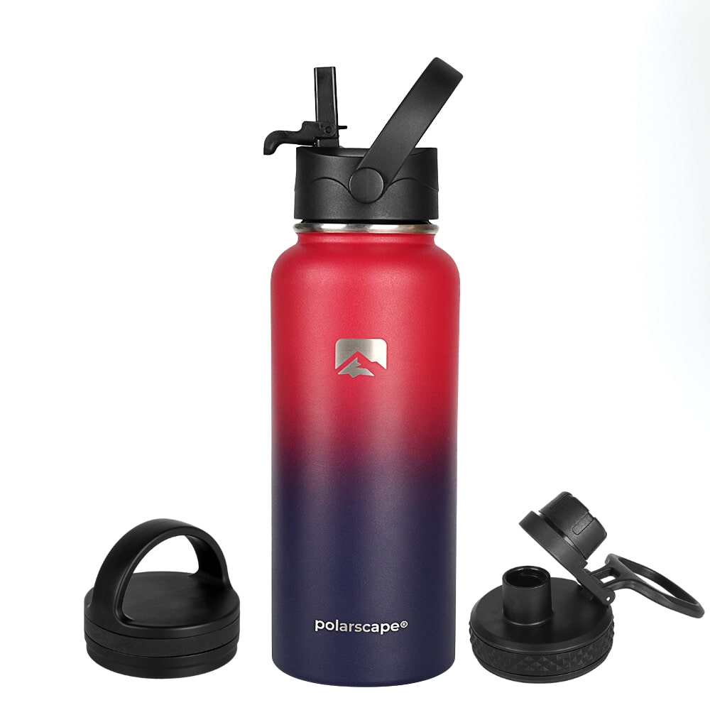 Insulated Water Bottle With Straw Wide Mouth 1000 ml Plum