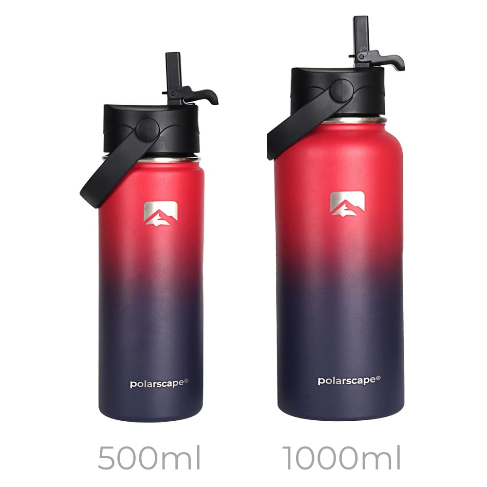 Insulated Water Bottle With Straw Wide Mouth 1000 ml Plum