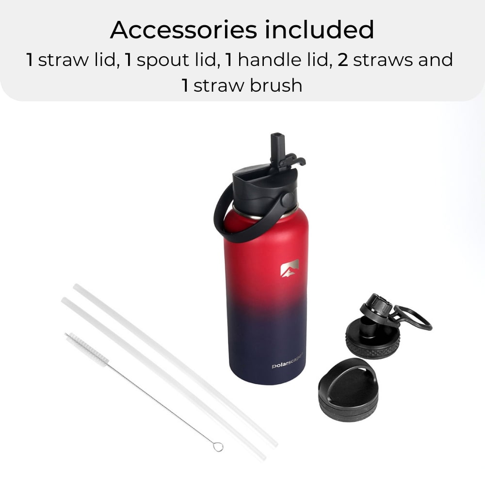 Insulated Water Bottle With Straw Wide Mouth 1000 ml Plum