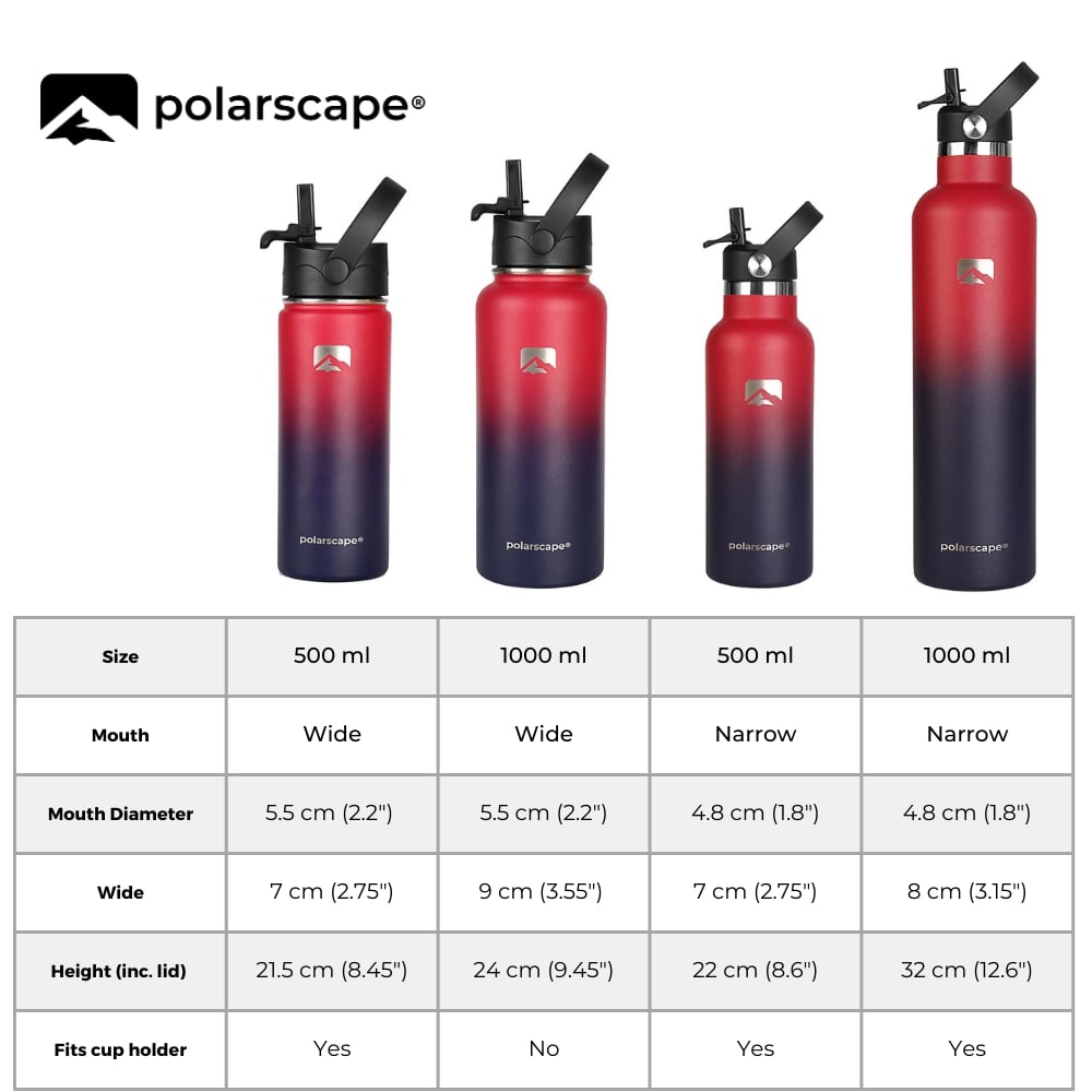 Insulated Water Bottle With Straw Wide Mouth 1000 ml Plum