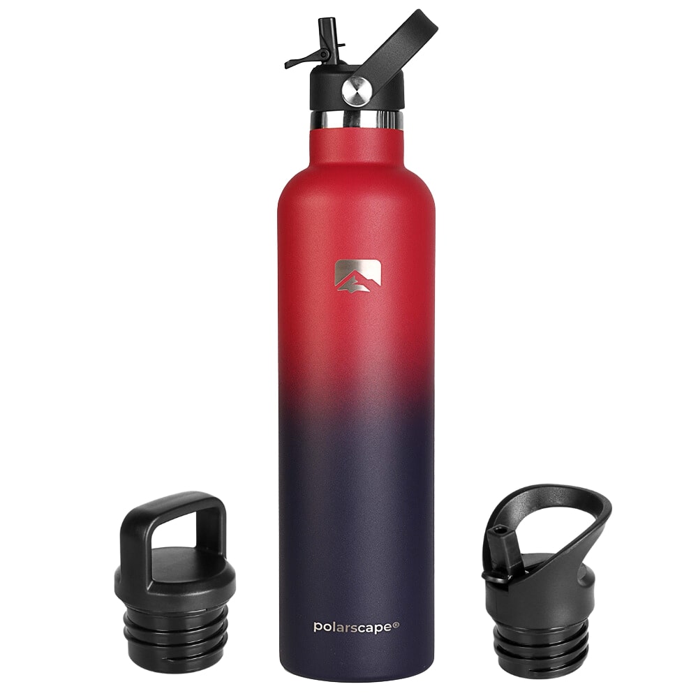 Insulated Water Bottle With Straw Narrow Mouth 1000 ml Plum