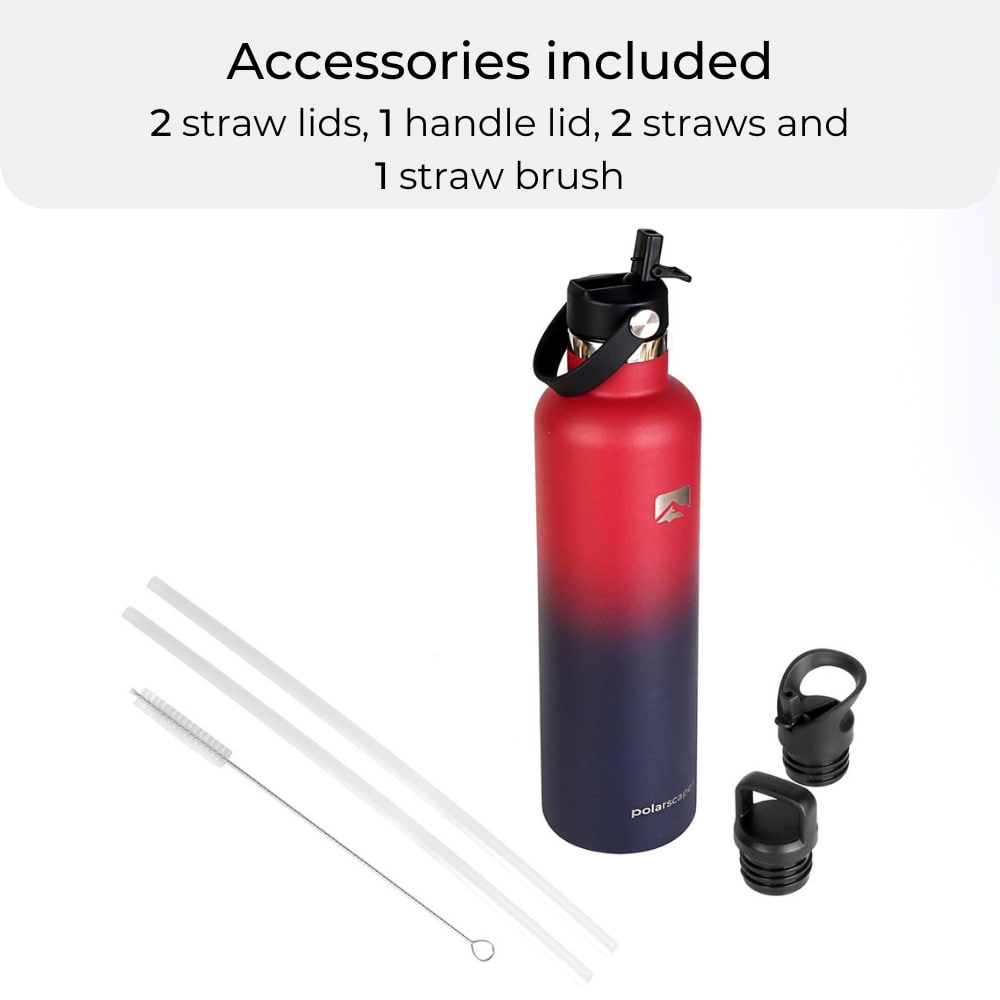 Insulated Water Bottle With Straw Narrow Mouth 1000 ml Plum